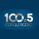 Радио Ferqli FM