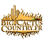 Радио Big Cactus Country