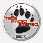 Радио TeleRadioStereo