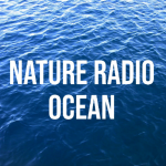 Радио Nature Radio Ocean
