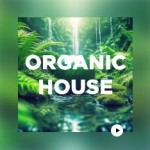Логотип Радио DFM Organic House
