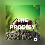 Радио DFM The Prodigy