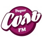 Логотип Радио Соль FM Phonk